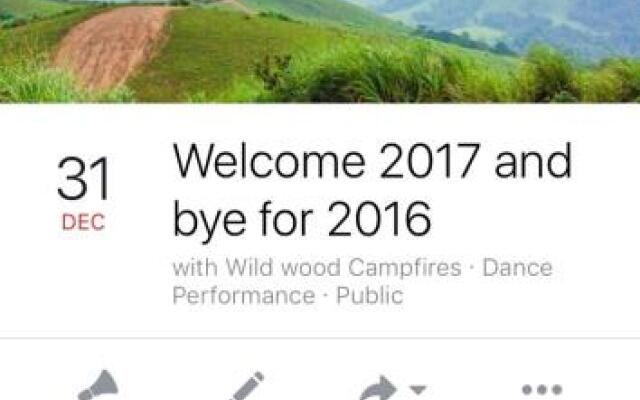 Wildwood Campfires