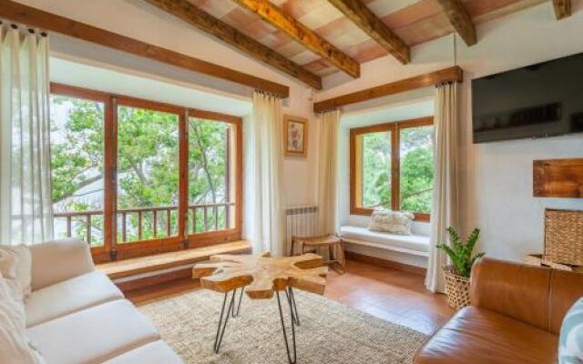 Alconasser Dream