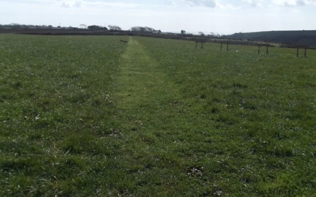 Condor Yurt - Glamping