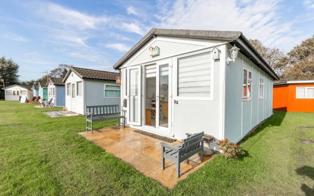 Host Stay The Happy Hedgehog