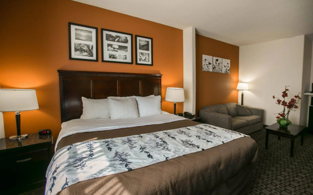 Sleep Inn & Suites Highway 290/NW Freeway