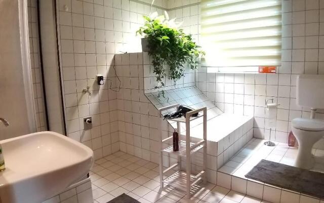 Apartment in Historic Town House