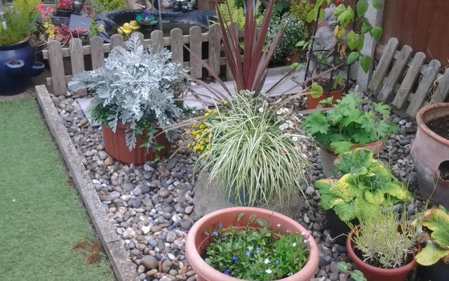 Rosevale Bed & Breakfast