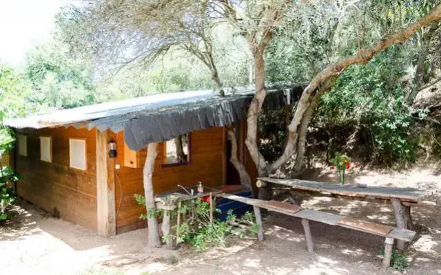 Surf N Sand Hostel