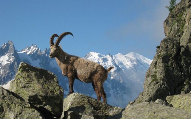 Calme nature ski à Vallorcine Mont Blanc