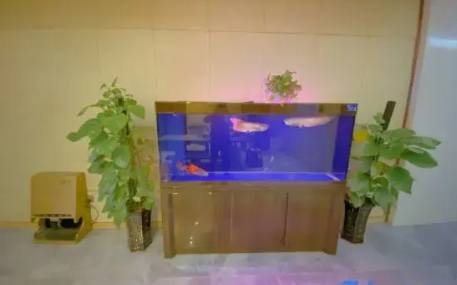 Zhongshan Hongguan Guest House
