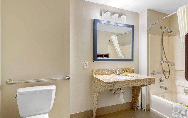 Best Western Plus McDonough Inn & Suites