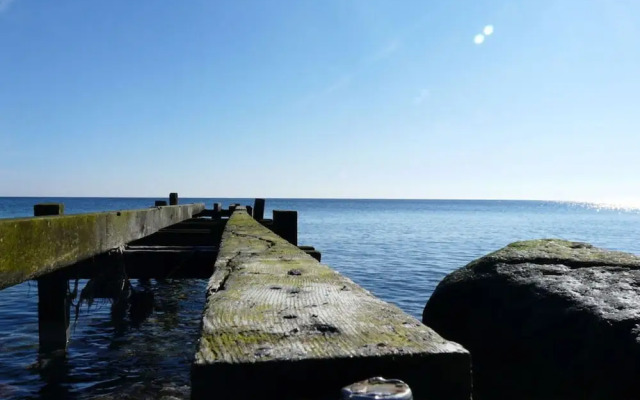 Swallow's Nest in the House by the Pond