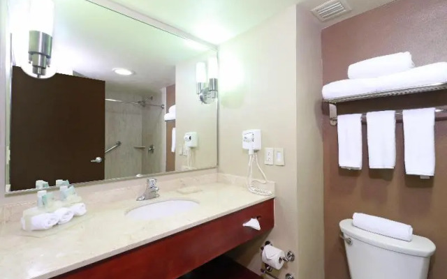 Holiday Inn Express Guadalajara Aeropuerto an IHG Hotel