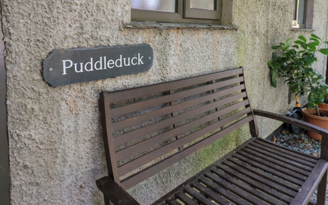 Puddleduck