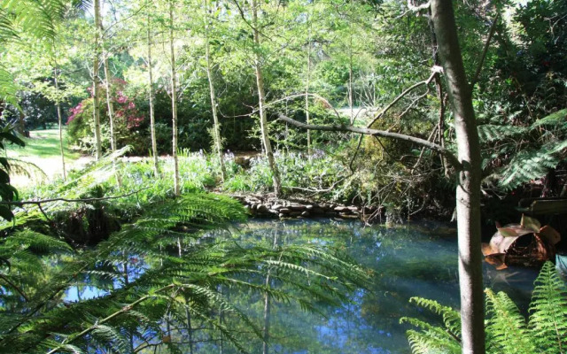 shady brook cottages