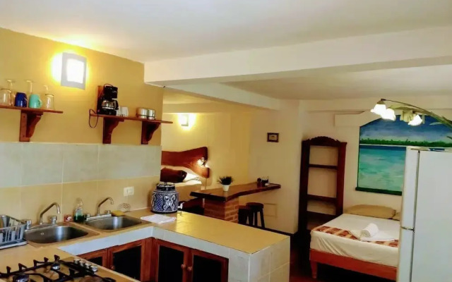 Pata de Perro Bacalar