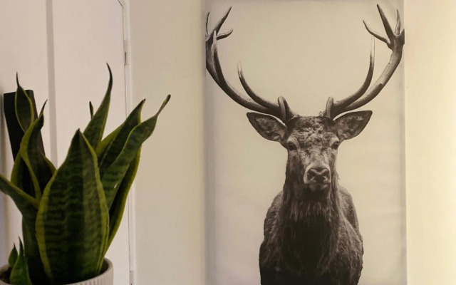 Studio Penthouse Nieuwpoort