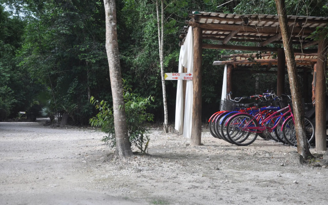 Jolie Jungle Eco Hotel