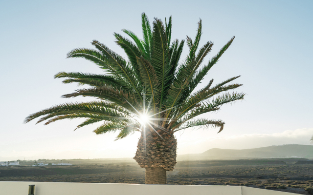 Aequora Lanzarote Suites