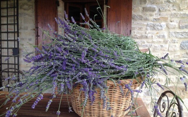 Umbrian Villa Retreat in Pietralunga With a Pool