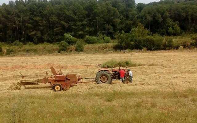 Can Barnosell - Els Masos d'en Coll