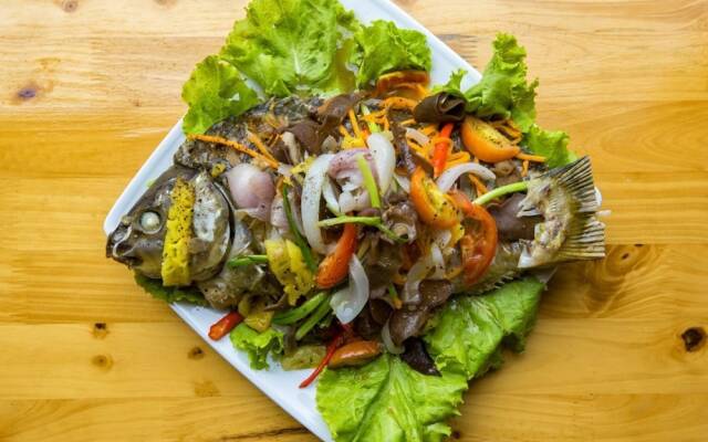 Phong Nha River Life Homestay