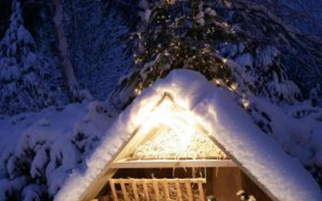 Gîte Provenchères-sur-Fave, 3 pièces, 4 personnes - FR-1-589-224