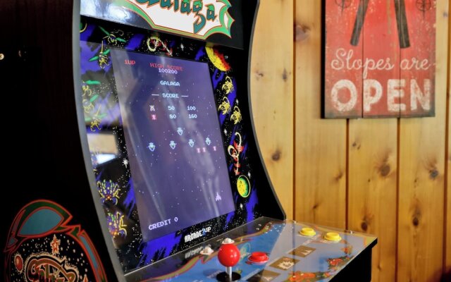 Bear CUB Cabin #2069