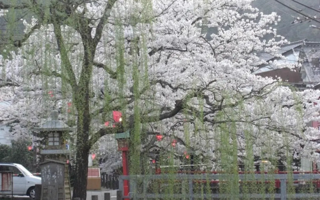 Matsuya