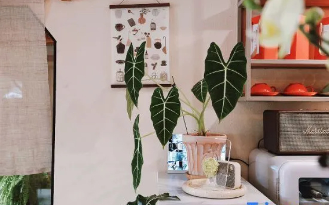 Xianqingshan Homestay (Xihu Qingzhiwu)