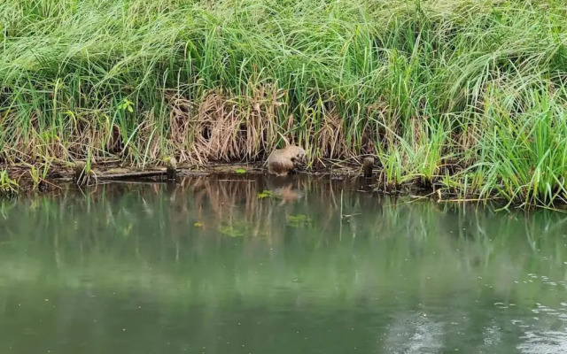 Reihenhaus in Lubben an der Spree