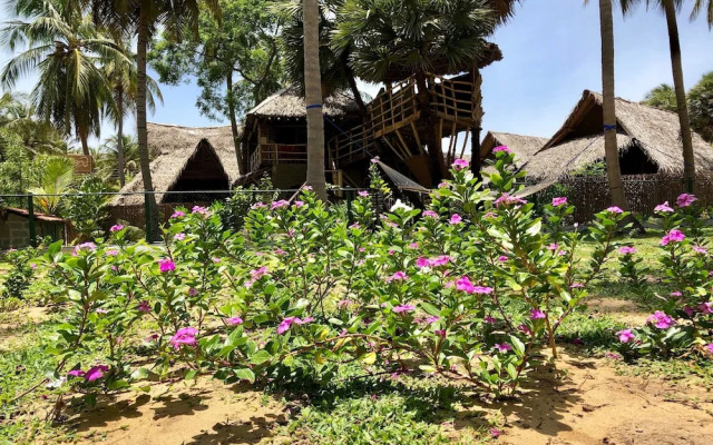 Wind Blend Kite Resort