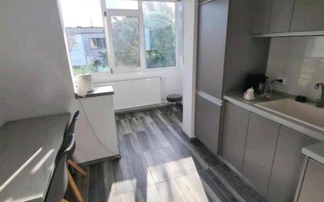 Alesandru apartament