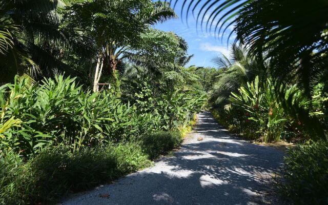 Baan Suan Farmstay