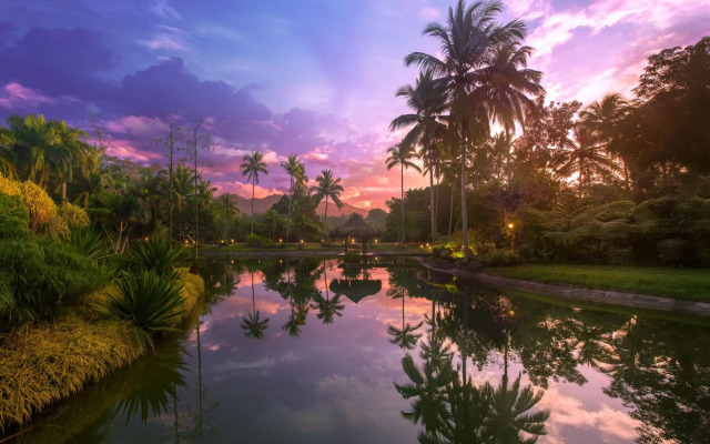 The Farm at San Benito