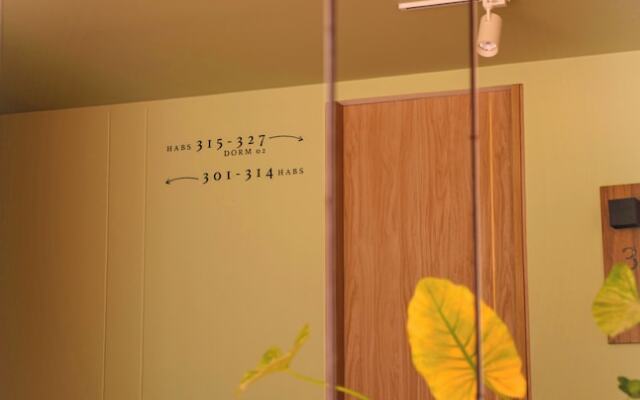 Trip Monkey del Río