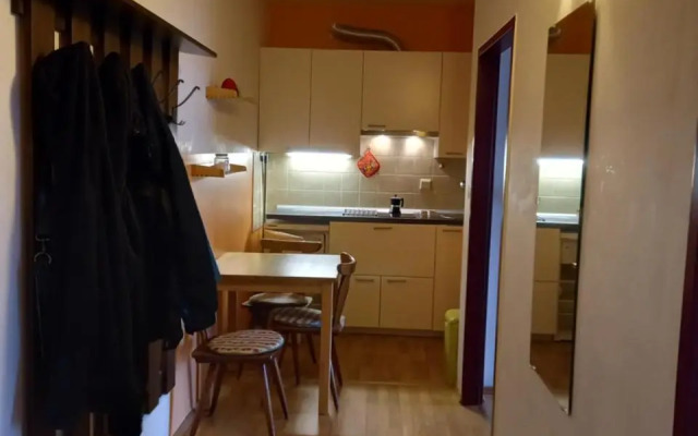 Panoramis apartment in Schladming