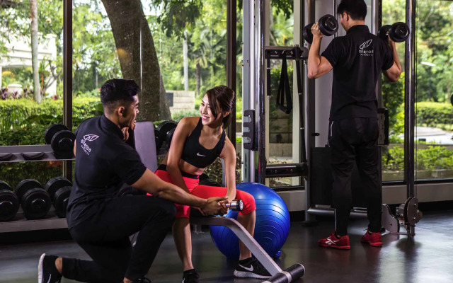 Отель Sofitel Sentosa Singapore