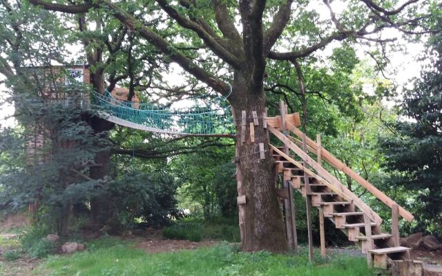 Cabane Dans Les Arbres - Le Nid Dans Le Chêne