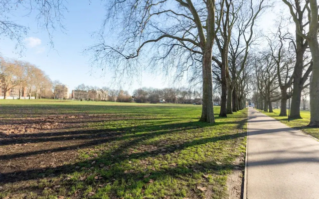 Serene and Spacious 1 Bedroom Garden Flat in Clapton