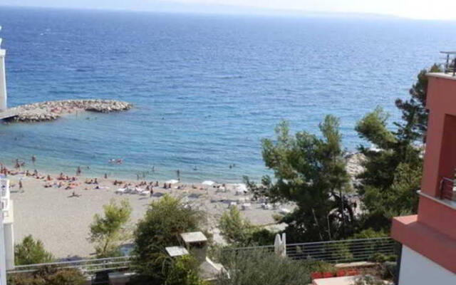 Apartment Branka