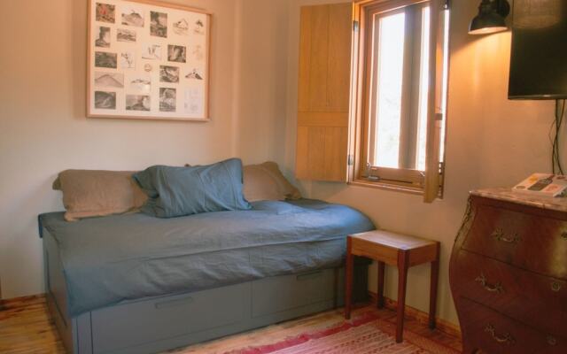 Alma Liebre Viñedos del Valle