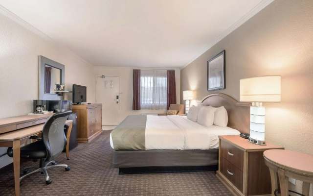 Quality Inn & Suites Lake Havasu City