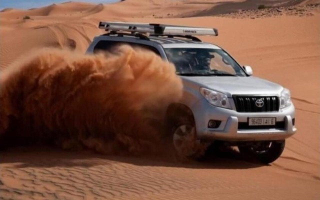 Camp Sahara Majestic