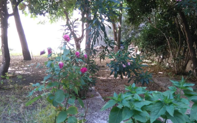 Pag studio Garden
