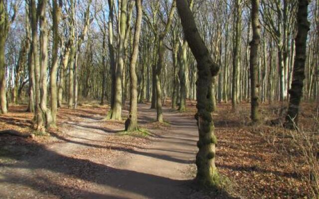 Appartementhaus Calmsailing, Borgerende