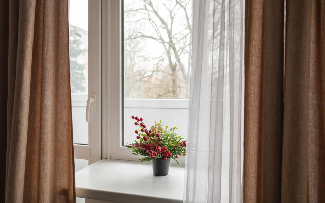 Поделам на Репина