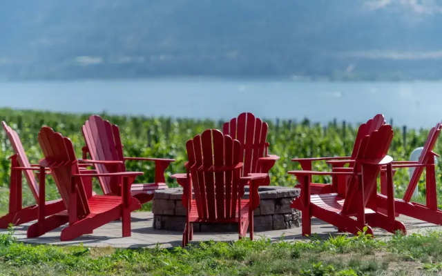 Therapy Vineyards