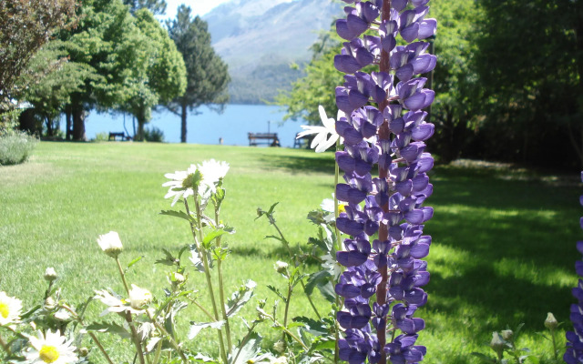 Lago Gutiérrez Lodge