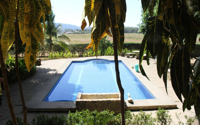 Surf Synergy All-Inclusive Surf Retreat
