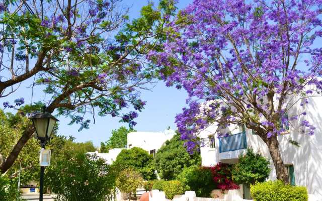 Paphos Gardens Holiday Resort