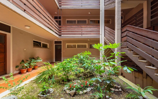 Apartment Vinea