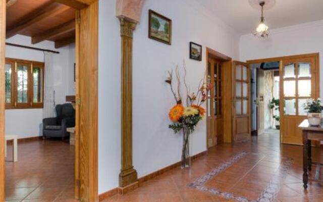 YourHouse Els Niguls