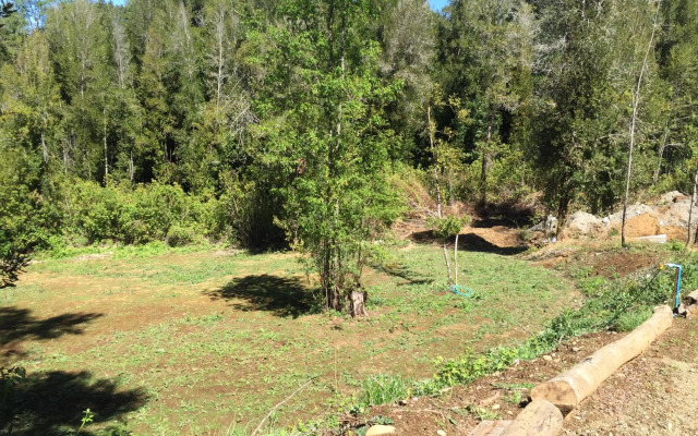 Cabaña Lago Villarrica ideal 2 familias